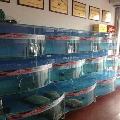 東莞黃江海鮮缸定制及養殖技術指南